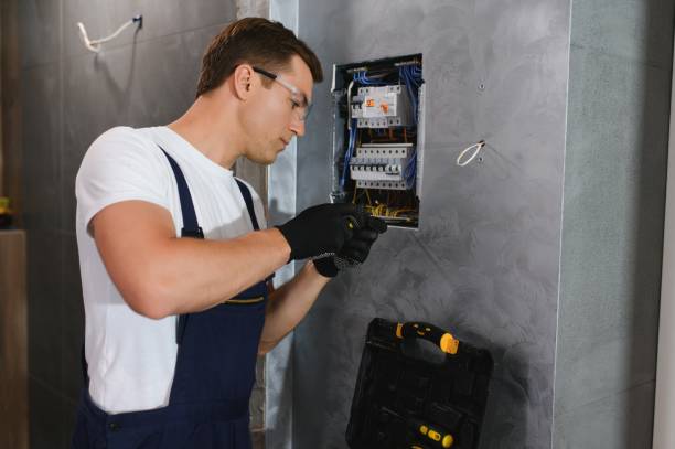 Best Electric Panel Repair  in Shady Hollow, TX